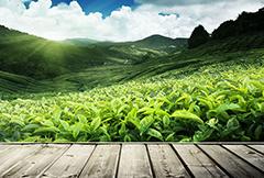 qy千亿-千亿(国际)唯一官方网站